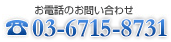お電話でのお問い合わせ　03-3745-1781